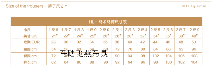 Article sports equestres FEIYE - Ref 1381784 Image 7