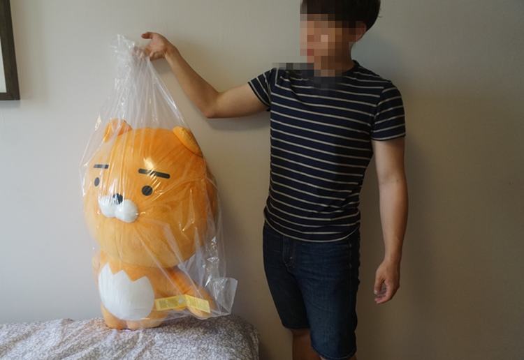 Peluche manga KAKAO FRIENDS KAKAO FRIENDS - Ref 2697036 Image 6