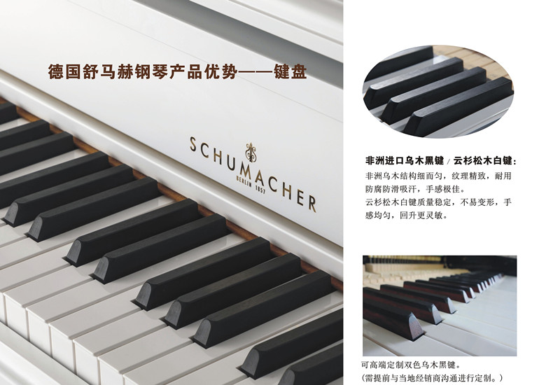Tô Châu thương hiệu mới cho thuê / cho thuê đàn piano Đức SCHUMACHER / Schumacher SCH-133A - dương cầm đàn piano điện yamaha