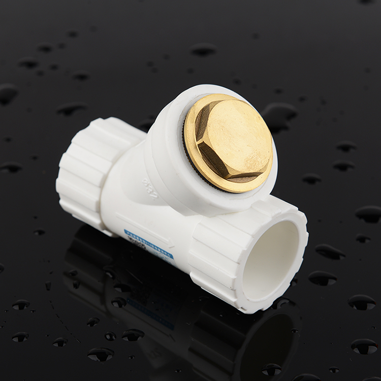 Three gold buffalo water pipes PPR filter 4 points 6 Thickened Filter Water 2025 strainer Water heating accessories