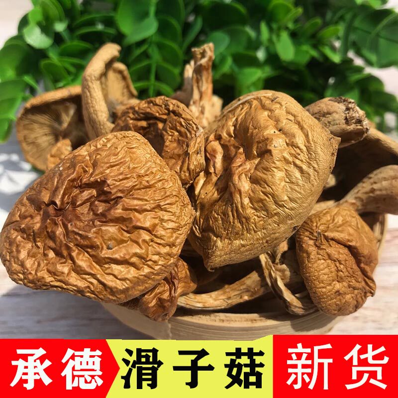 2023 New goods Chengde Flat Springs Terrou Mushrooms Dry Goods Slip Mushrooms Dried Slide Mushrooms mushrooms Little chicken Stepan mushrooms-Taobao