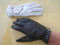 成人夏季真皮马术手套可触屏 白色比赛手套考级户外骑马手套 