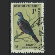 French New Caledonia 1966 Birds 3fr Large Royal Pigeon Pin 1 (Stamp positions are different)