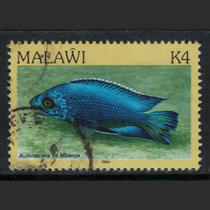马拉维1984年鱼类普票4K销1枚(贴戳位不同)