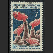 Français Nouvelle-Calédonie 1964-65 nu Mea Aquarium 7fr Sea Cuttlebone Pin 1 (la position de poke est différente)