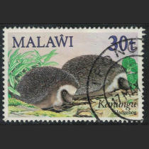 Malawi 1984 wild animal 30t hedgehog pin 1 (stamp position is different)