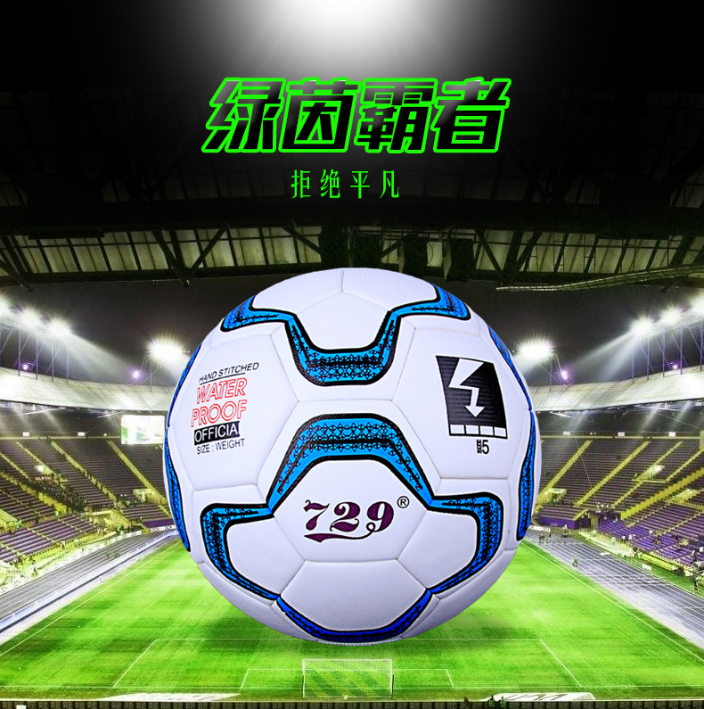 Ballon de foot - Ref 5200 Image 6