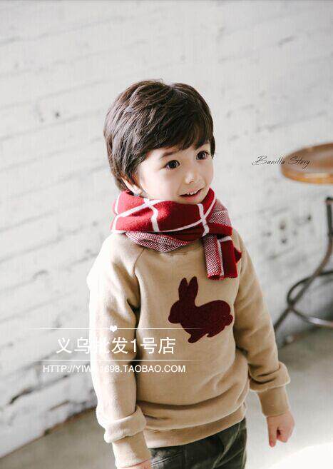 Echarpe garcon - Ref 2142795 Image 56