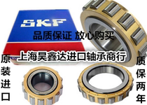 SKF bearing inside RN203 204 205 206 207 208 209 210 ECJ ECM ECP C3