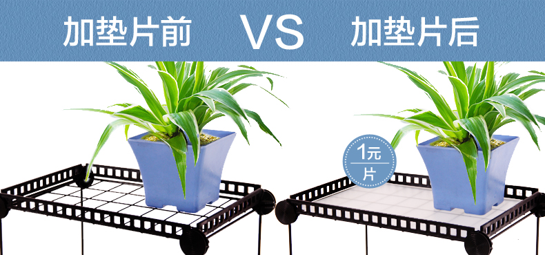St. Johns mờ màng lót Hoa giá đỡ kết hợp giá gioăng Hỗ trợ kệ lưu trữ - Kệ kệ xương cá