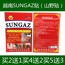 From Vietnam authorized SUNGAZ painkillers shoulder pads neck and knee pads 10 stickers