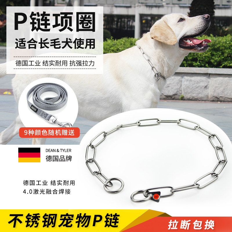 Germany DEAN TYLER Lightweight long section stainless steel P-chain dog collar Dog ring protection hair German Shepherd