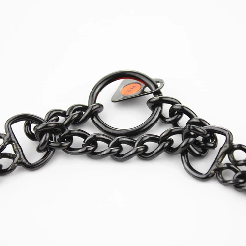 Petcare Импортированная черная двойная двойная двойная из нержавеющая сталь P -цепная цепная цепь -цепь воротник золотой ретривер