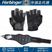 Bộ dụng cụ bảo vệ thể hình HARBinger # 143 健身 # 223 Đai nâng tạ - Dụng cụ thể thao