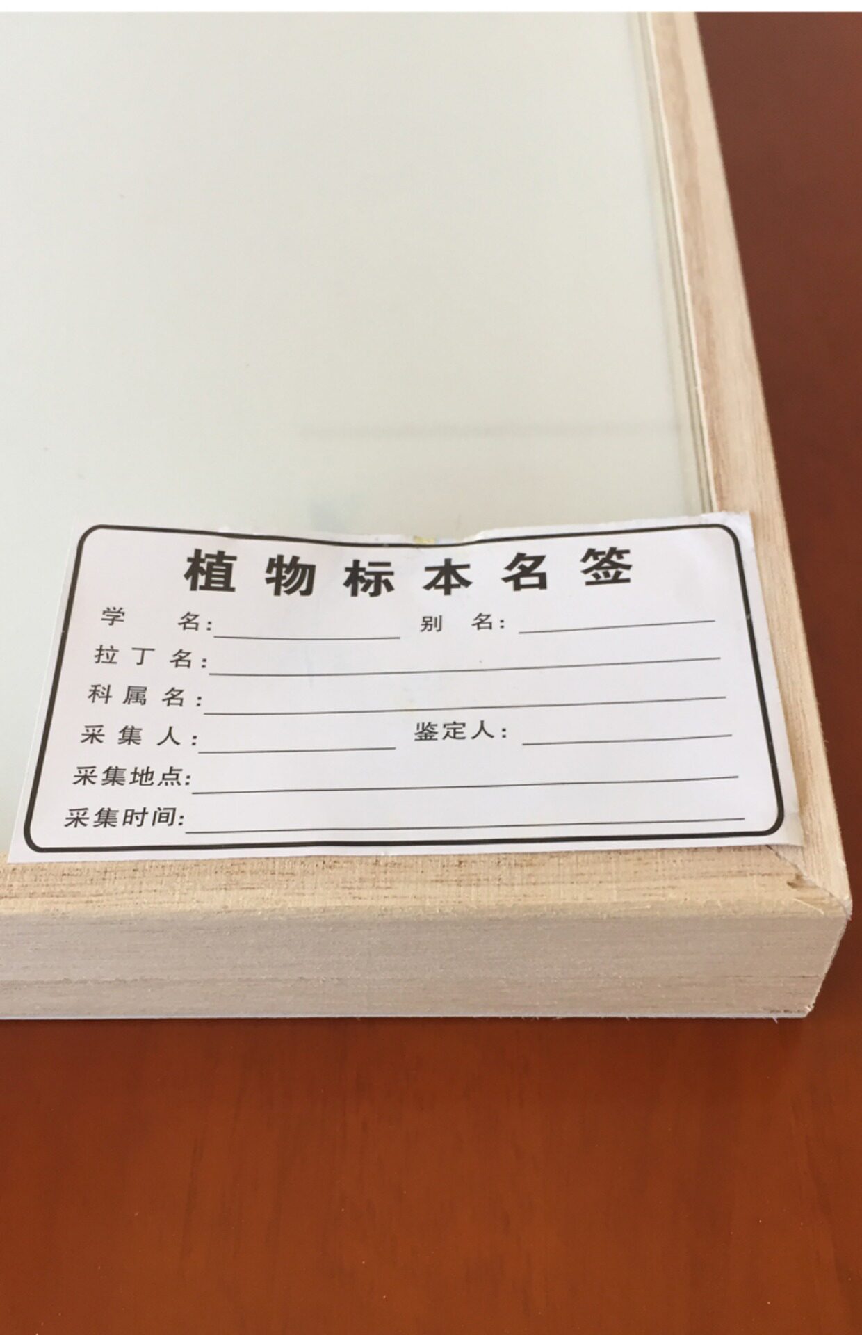 植物标本标签样式,植物标本标签(第2页)_大山谷图库