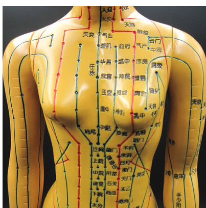 Ultra Clear Lettering Human Meridian Acupoint Model Full Body Traditional Chinese Medicine Used Acupuncture Bronze Man Teaching Male and female Little People Model