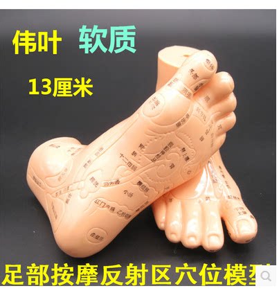 Funsail High Clear Plantar Reflex Zone Model Reflexology Acupuncture Point Caves Foot Meridians Acupoints Foot modular foot therapy