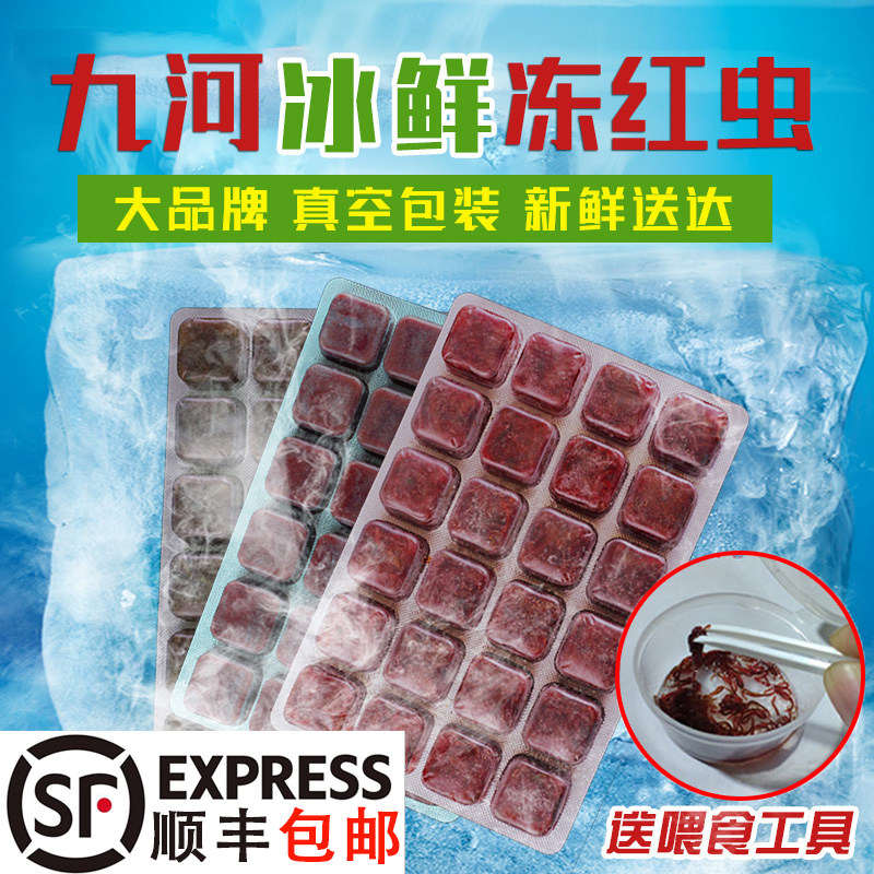 Frozen red worm fish feed Red worm harvest shrimp parrot fish Red worm Koi fish food Beef heart burger fish food bait