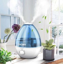 Outlet Humidifiers Home Silent Large Capacity Bedrooms Pregnant baby Indoor Double Fog Outlet 4L Nebulizer
