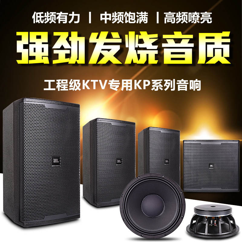 15 inch professional speaker
