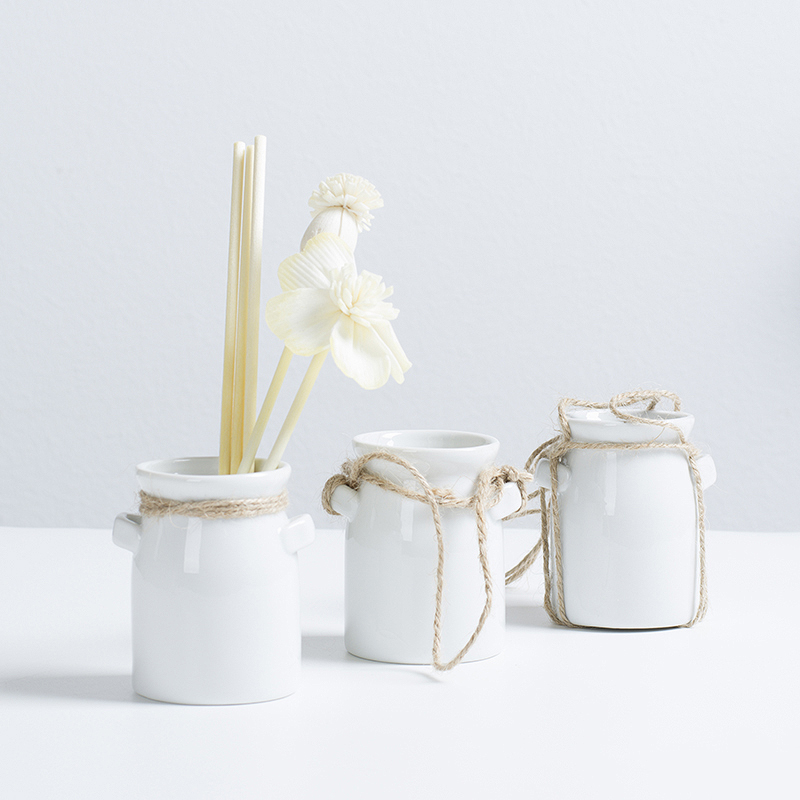 Ins nội thất Bắc Âu trang trí hai nhân cách bình mini trang trí sáng tạo chai hương liệu khô hoa bình - Vase / Bồn hoa & Kệ chậu cây cảnh bằng gốm sứ