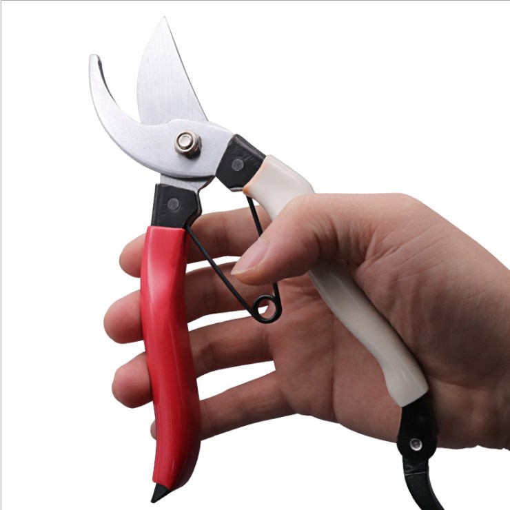 Manufacturer Direct Marketing Gardening Supplies Fruit Tree Scissors Green Scissors Flowers Cut Plant Prunes Pruning Garden Trees Scissors