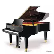 Authentic grand grand grand GP-170 gia đình quý tộc sang trọng dạy piano chất lượng cao chơi piano