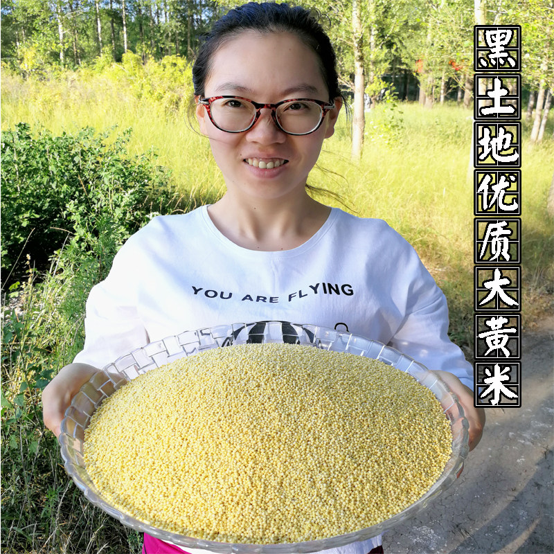 Large yellow rice glutinous millet farmhouse self-produced sticky rice dumplings rice dumplings yellow millet new rice soft glutinous rice 5 catty national