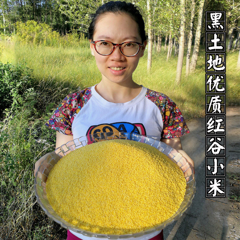 Xinmi farmer Xiaomi northeast yellow rice porridge northeast of the rice grain, 5 kg of grain