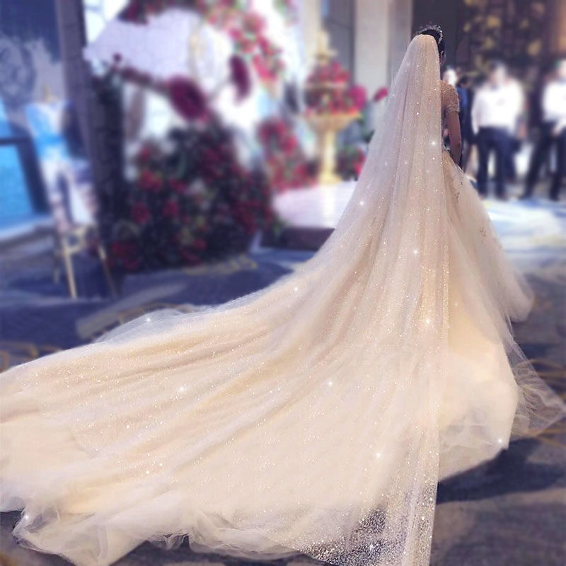 Veil Bride Main Wedding Dress Starry Sky Veil Champagne Veil Super Sen sen Series Long Drag Tail Korean Wedding Veil