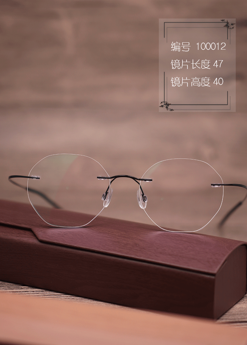 Montures de lunettes en Titane pur - Ref 3140924 Image 17