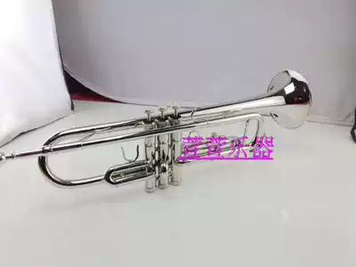 Bruk trumpet instrument flat trumpet double silver-plated antioxidant Gold Silver