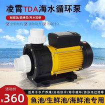 Guangdong Lingxiao TDA seawater pump Seafood pool fresh pool aquaculture water pump fish pond pump corrosion-resistant external circulation pump