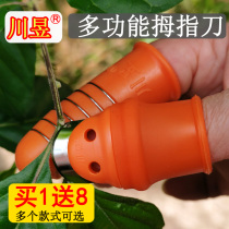 Sichuan Yu Picking Vegetable Thumb Knife poivre Pepper God Instrumental Peeling Bean Picking tea Water Fruits et fruits Fruits et légumes Finger Protection Acier inoxydable