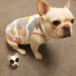 French bulldog clothes spring and summer thin bulldog pug dog vest fat dog full cotton two-legged pet clothing