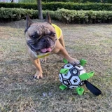 Интерактивная игрушка, футбольный прыгучий мяч для тренировок, домашний питомец, избавление от скуки