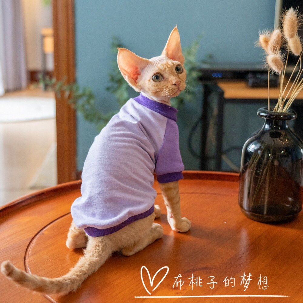 GINGERAIN DEVON CAT CLOTHES SPHINX HAIRLESS CAT PURE COTTON THIN SWEATER FOR SUMMER