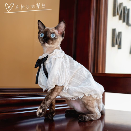 Gingrain Немецкая одежда для кошачьей одежды без волоса летняя детская рубашка пузырьковая рубашка лук черно -белая контрастная рубашка