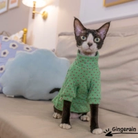 Голубое дно встреча