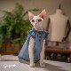 GINGERAIN denim ສາວ Sphynx Devon ເຄື່ອງນຸ່ງຫົ່ມ cat trendy soft vest ເສື້ອ doll ເດັກນ້ອຍ