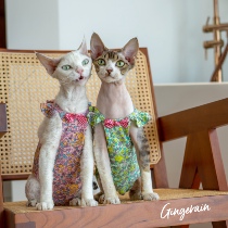 Gingerain cashless cat bag belly four legs German cat clothes pure cotton agaric side vest air conditioning suit