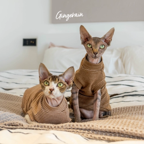 Gingrain Немецкая одежда для кошки безволосы