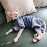 Gingrain Немецкий кот -кошка Абушиан Восточный Коротко -Хишеной Кошачья одежда Защитите живот, чтобы сохранить теплый четырехлетний эластичный свитер