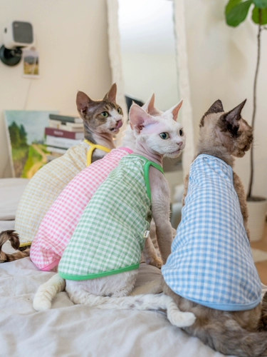 Gingrain Немецкая одежда для кошки безволосы