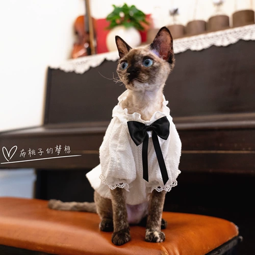 Gingrain Немецкая одежда для кошачьей одежды без волоса летняя детская рубашка пузырьковая рубашка лук черно -белая контрастная рубашка