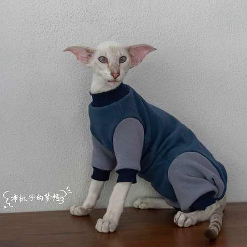 Gingrain Немецкий кот -кошка Абушиан Восточный Коротко -Хишеной Кошачья одежда Защитите живот, чтобы сохранить теплый четырехлетний эластичный свитер