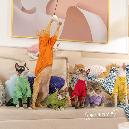 Имбингевая многоцветная хлопковая рубашка с двойной базовой рубашкой безволосы