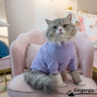 Пурпурно -ботсовые зеленые пятна