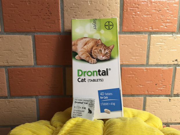 Nhỏ chín bảo đảm xác thực Đức tẩy giun nội bộ cơ thể mèo tẩy giun - Cat / Dog Health bổ sung sữa cho chó mẹ