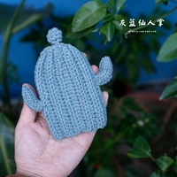 Серый кактус